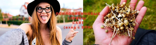 МДПВ Вяземский