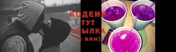 МДПВ Вяземский