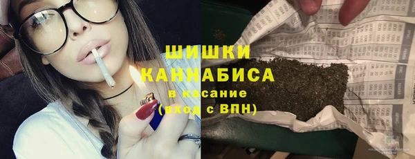 МДПВ Вяземский