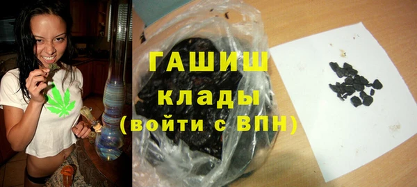 МДПВ Вяземский