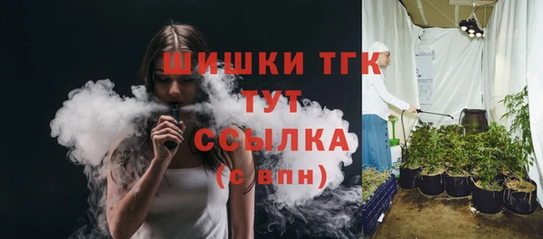 МДПВ Вяземский